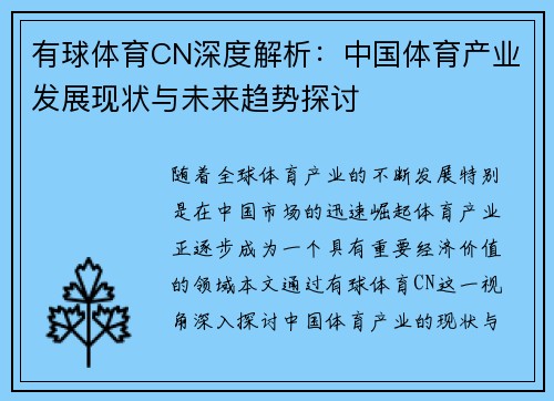 有球体育CN深度解析：中国体育产业发展现状与未来趋势探讨